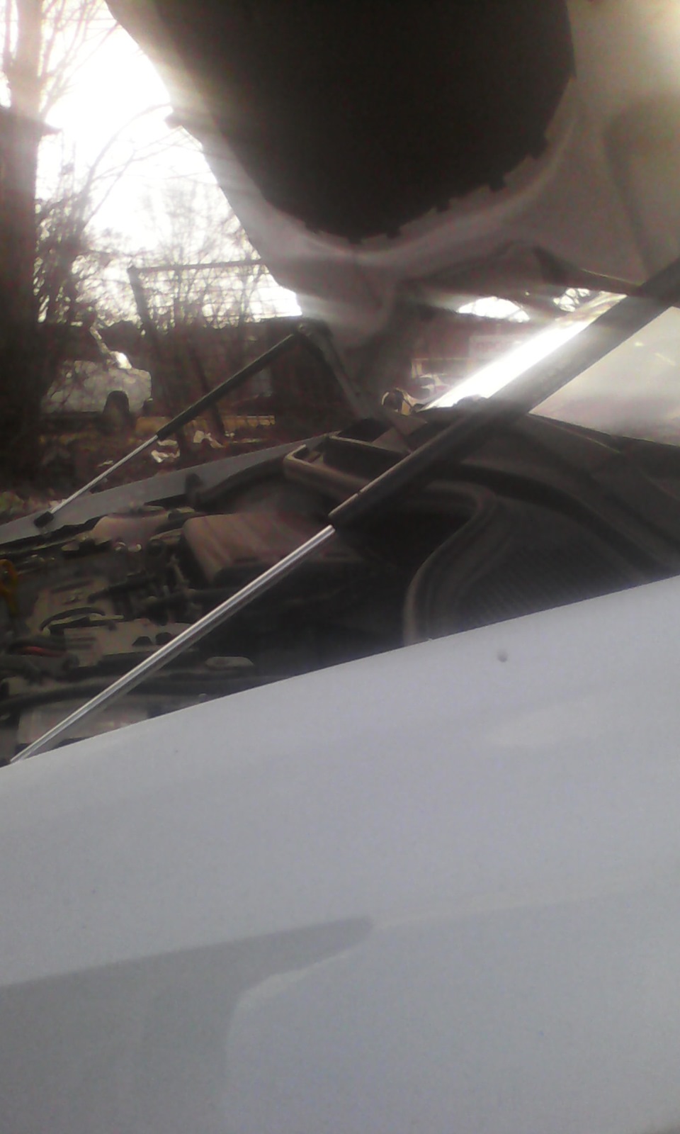 Фото в бортжурнале Volkswagen Polo Sedan