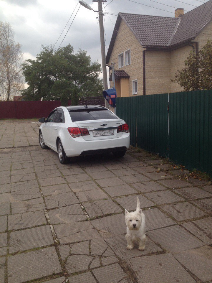Фото в бортжурнале Chevrolet Cruze (1G)