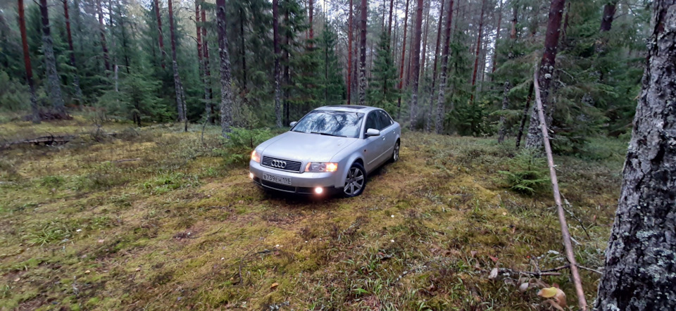 2 ограничители дверей — Hyundai Sonata VI (YF), 2 л., 2011 года ...