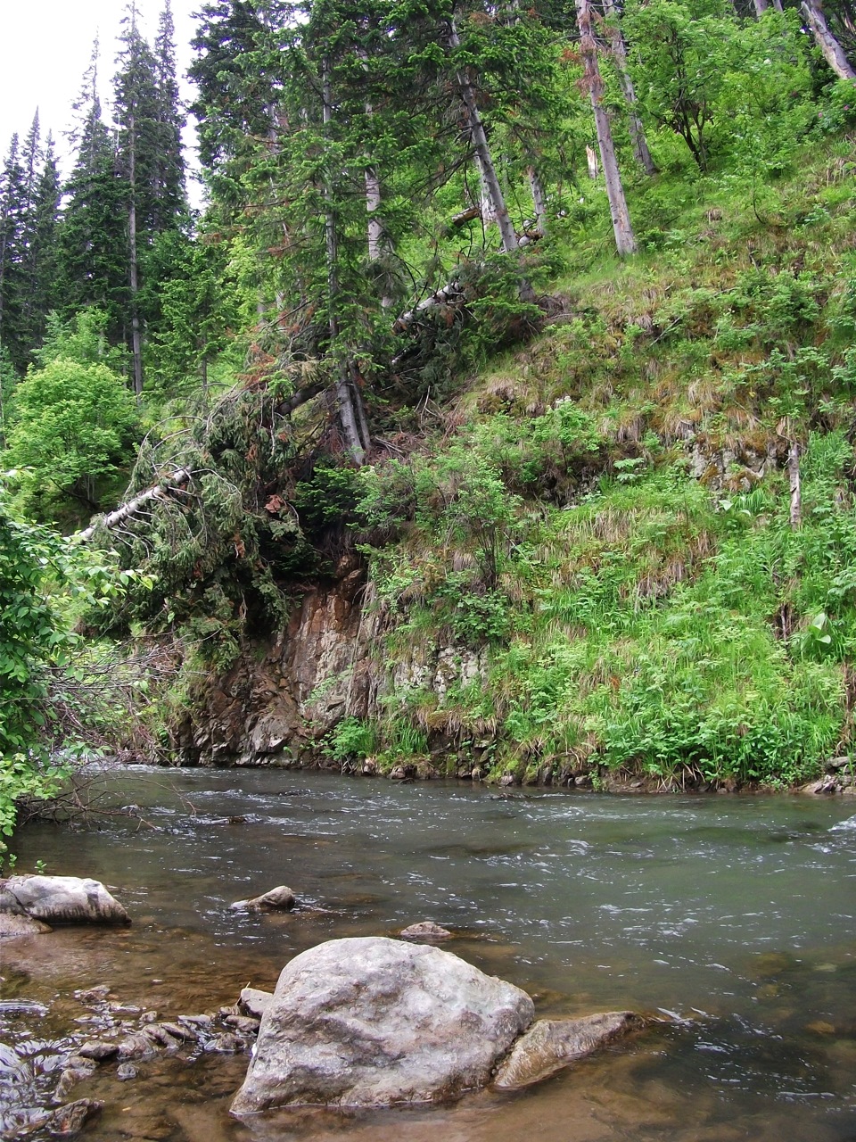 Горная ульбинка усть каменогорск фото