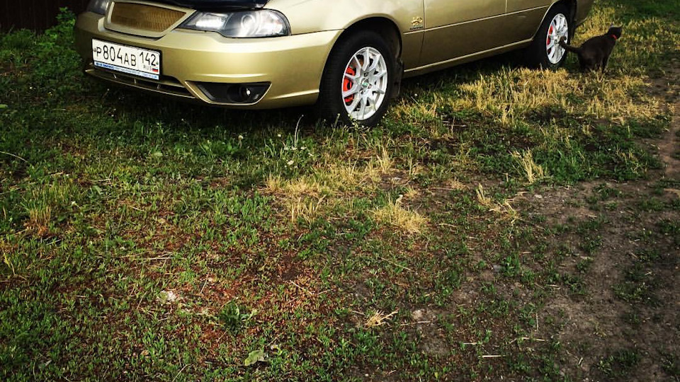 Садится аккумулятор за 2 дня простоя(помогите) — Daewoo Nexia (N150), 1 ...