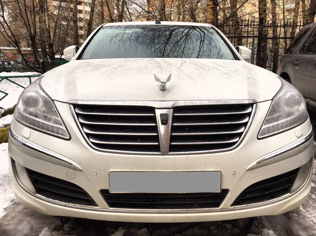 5. Птица — Hyundai Equus (2G), 4,6 л, 2010 года | стайлинг | DRIVE2