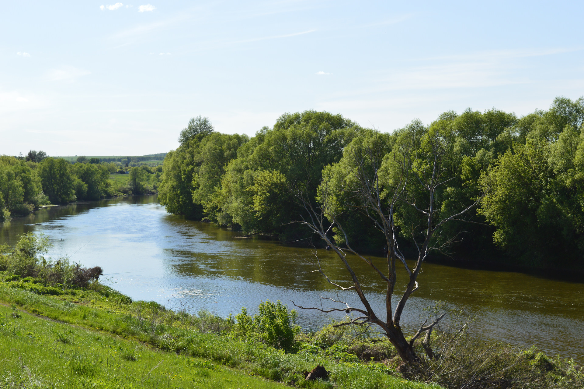 Река Дон в Тульской области