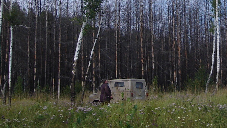 Зажигание система — ЛуАЗ 969, 1,1 л., 1986 года | электроника | DRIVE2