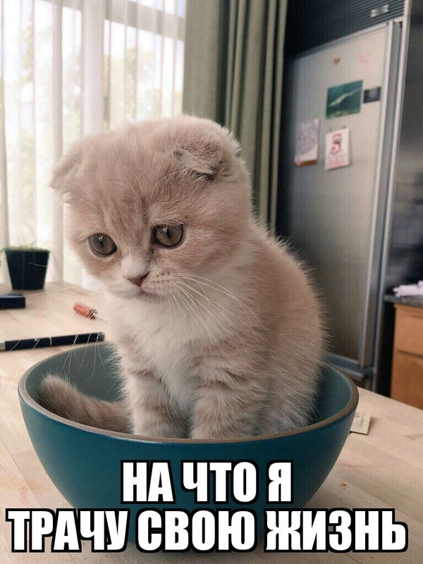 Фото в бортжурнале Saab 9-5 (1G)