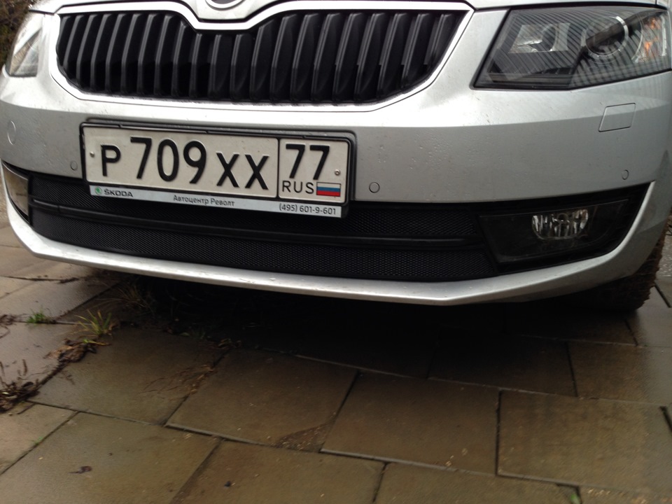 Радиатор octavia a7. Решётка чёрная радиатора Skoda a7 2013. Skoda Octavia a8 зимняя защита радиатора. Утеплитель радиатора Skoda Octavia a7. Гриль полосы на решетку радиатора Skoda Octavia a8.