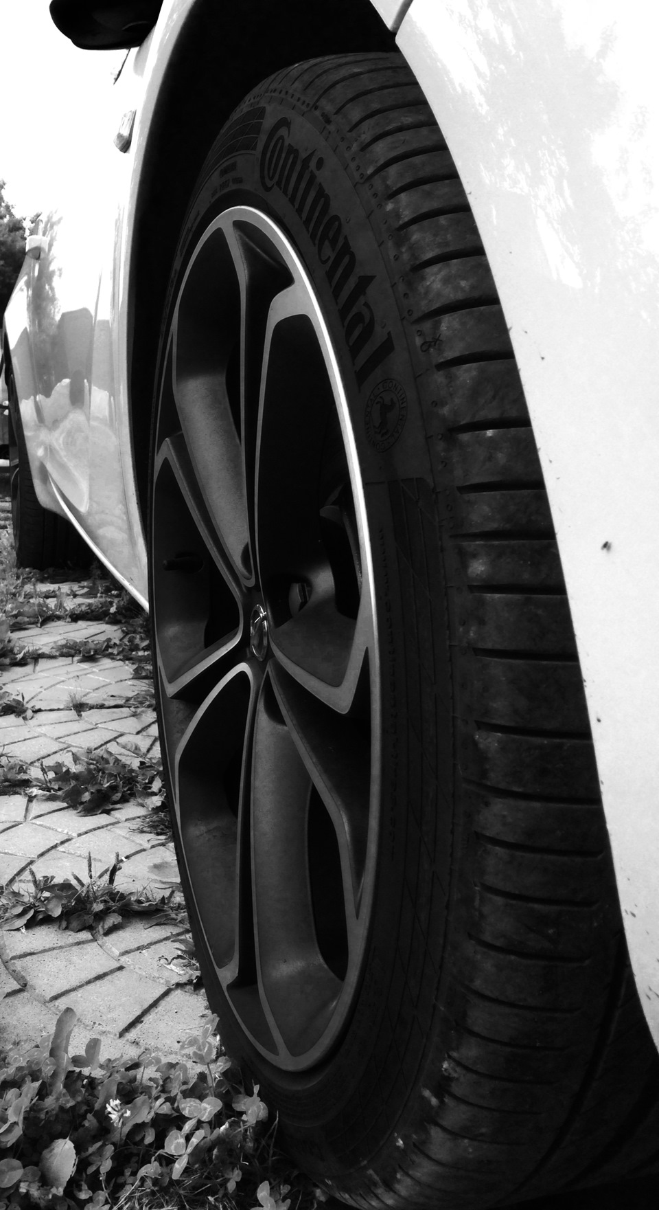 возродить БЖ! ну и пару фоток закинуть =) — Opel Astra J GTC, 1,6 л ...