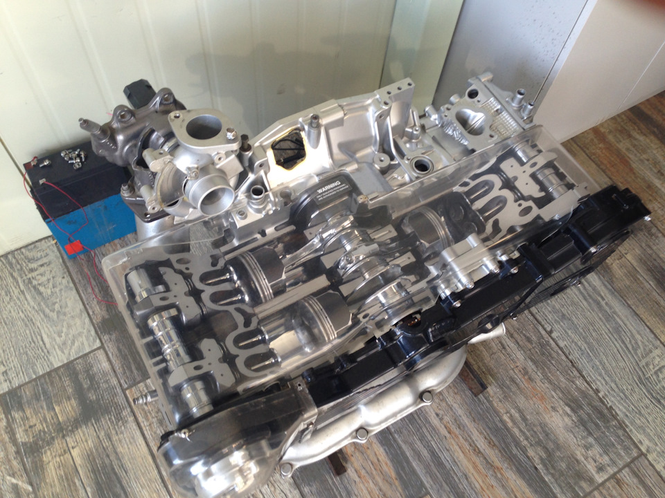 Вот такой ежик теперь красуется в Субару Клубе — Subaru Forester (SH)