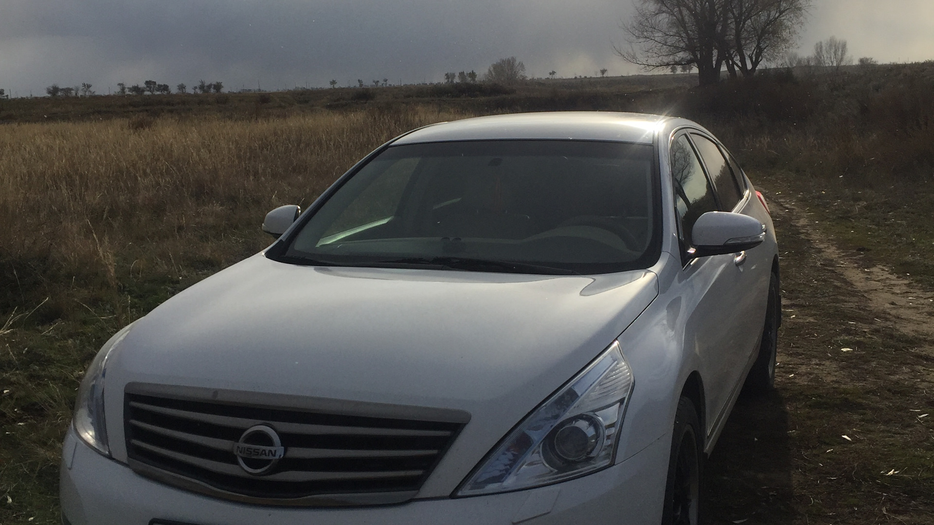 Nissan Teana (J32) 2.5 бензиновый 2013 | White-on-White на DRIVE2