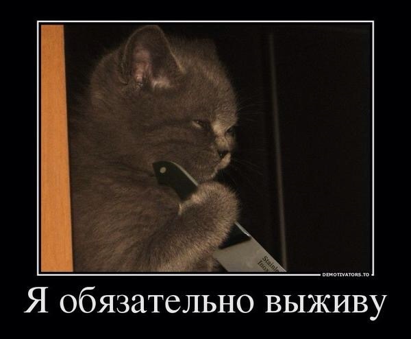 Я обязательно выживу котик