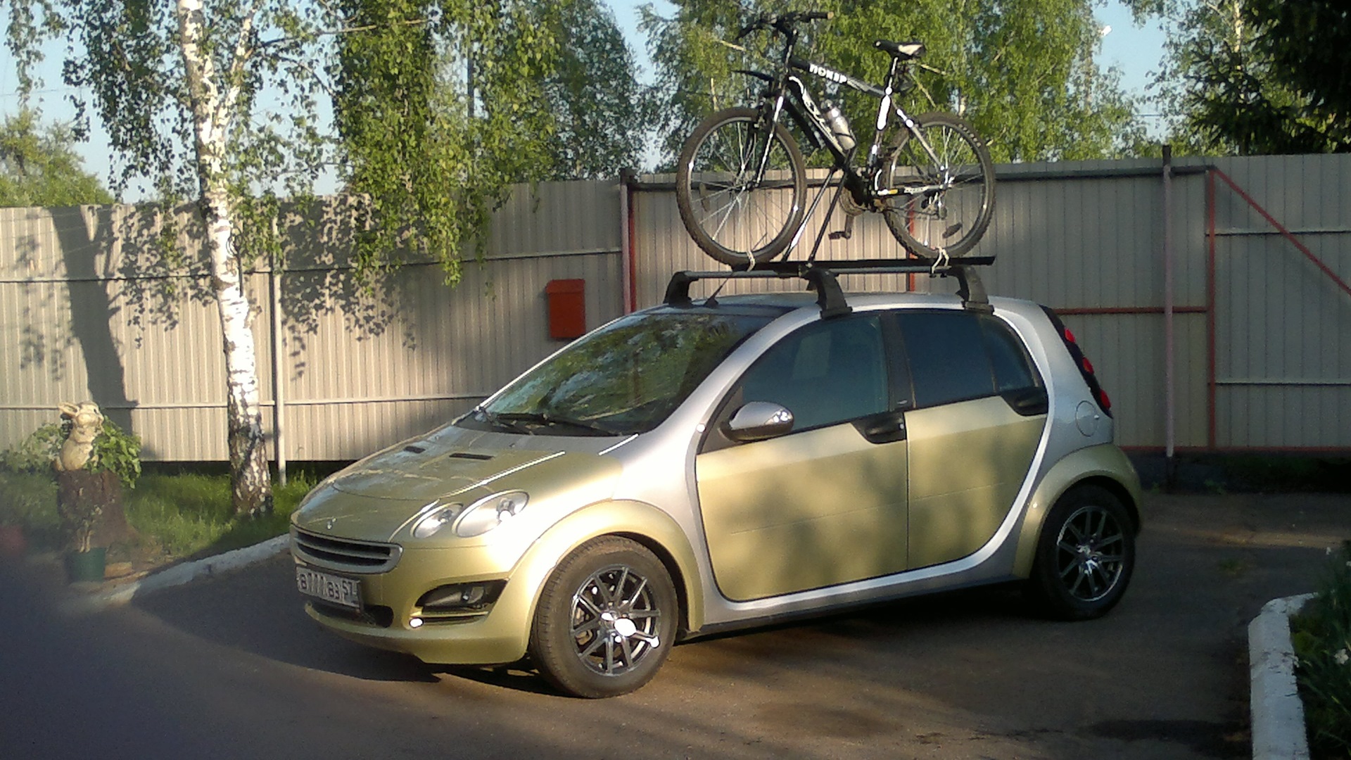 Smart forfour bike sale rack