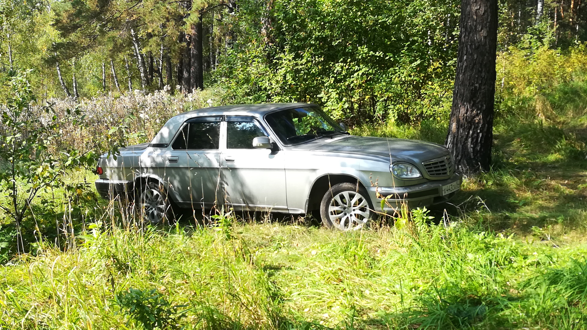 Купить Волгу 31105 В Новосибирске