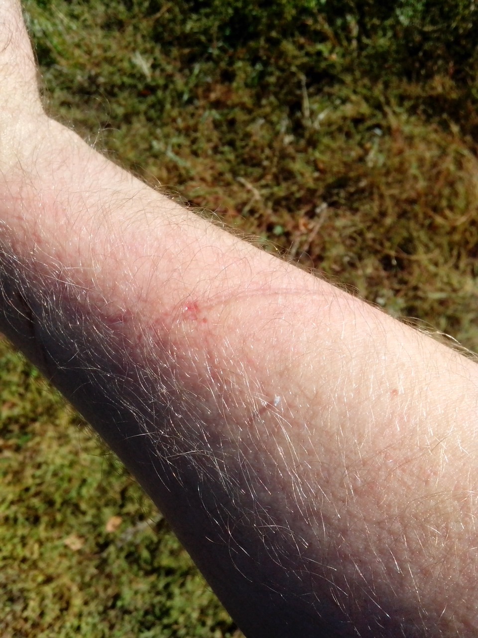 Фото в бортжурнале Ford Focus Sedan II