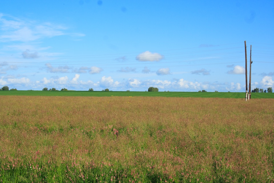 Село степное алтайский край