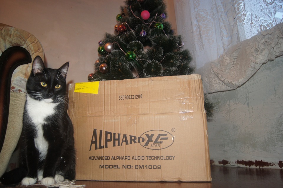 Громкий фронт… — Lada Приора хэтчбек, 1,6 л, 2008 года | автозвук | DRIVE2