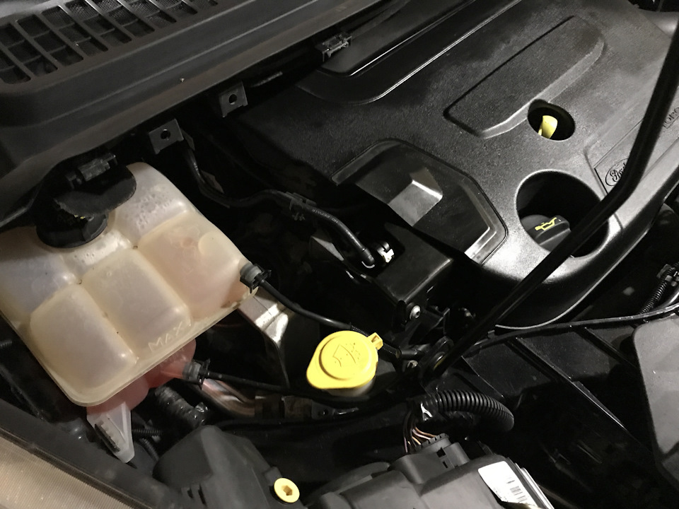 Фото в бортжурнале Ford Kuga (2G)