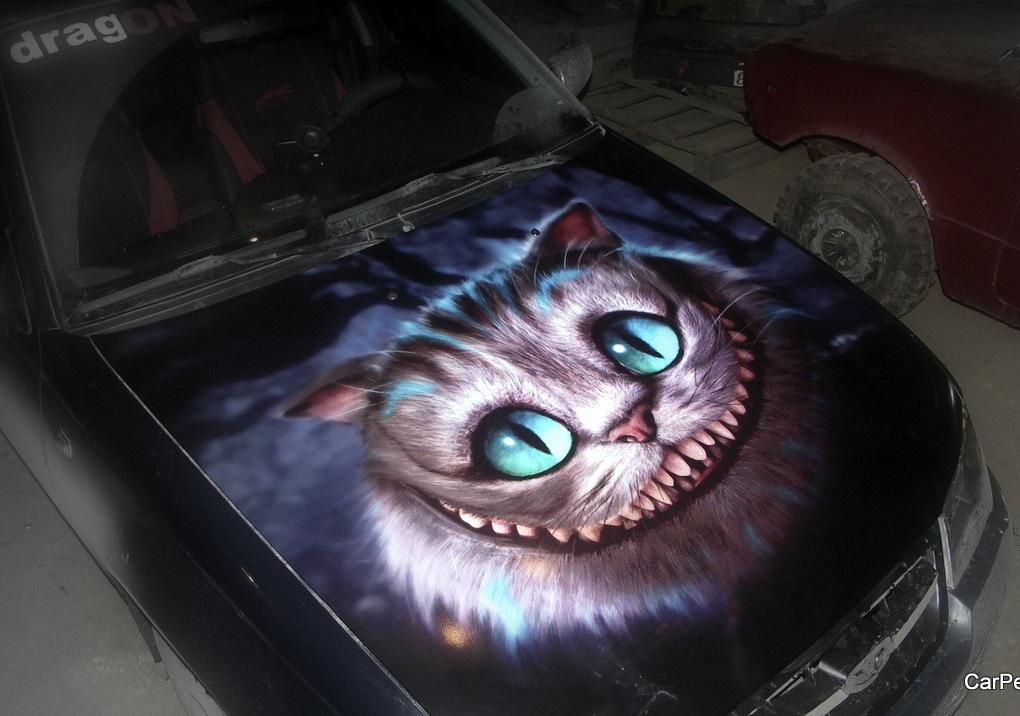 кот и виниловый проигрыватель. кот и пластинка. кот и пластинка. кот аэрографом. кот с виниловой пластинкой.