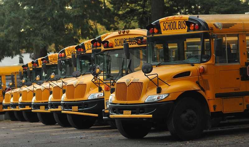 Парк горького автобусы. Школьный автобус. Американский автобус. Американский школьный автобус. Желтый школьный автобус США.