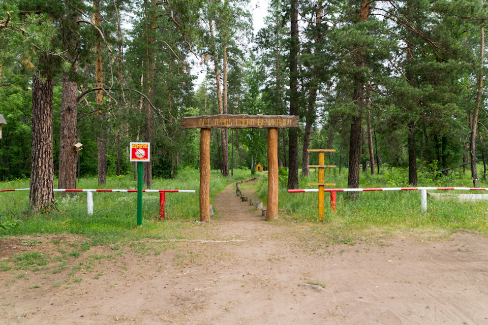 что посмотреть в бузулукском бору