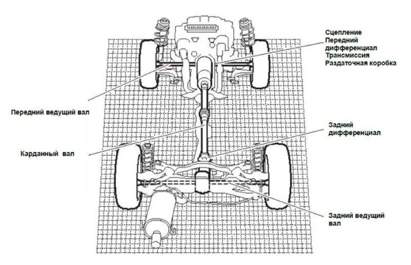 Схема заднего привода автомобиля
