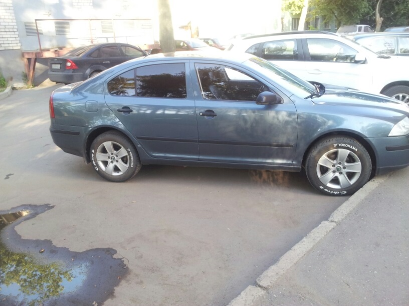 Фото в бортжурнале Skoda Octavia A5 Mk2