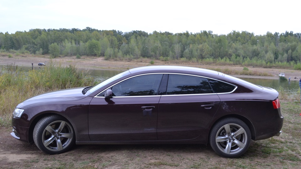 Audi A5 Sportback (1G) 2.0 бензиновый 2012 quattro на DRIVE2