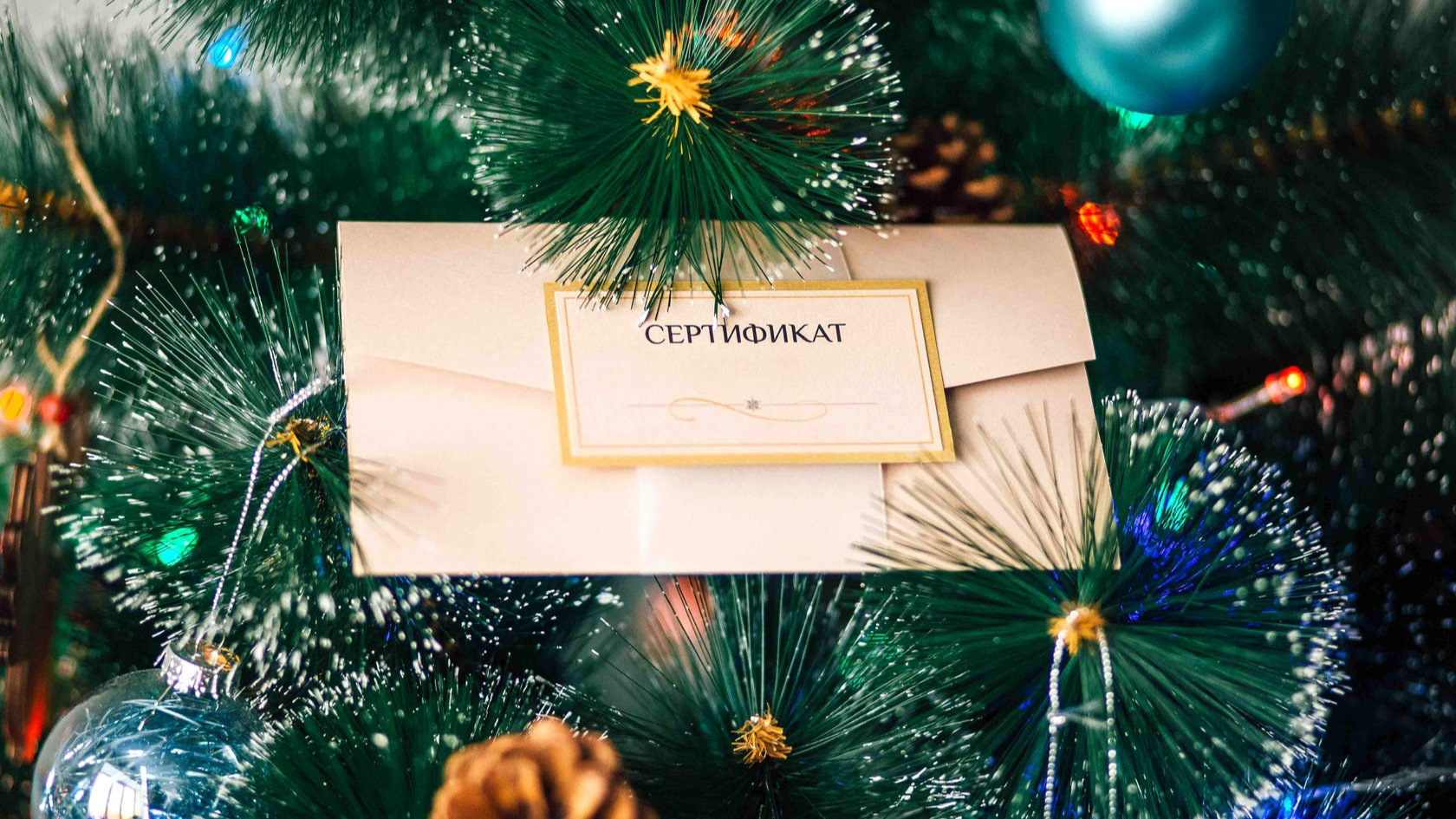 #18 Школа экстремального вождения — Ford Mustang (6G), 2,3 л, 2019 года ...