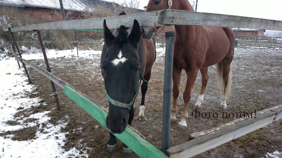 Патрубок от турбины к интеркулеру.арт. 1505A377 — Mitsubishi Pajero ...