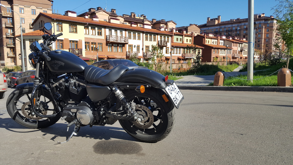 Мотоцикл harley davidson iron 883. Смотреть фото Мотоцикл harley davidson iron 883. Смотреть картинку Мотоцикл harley davidson iron 883. Картинка про Мотоцикл harley davidson iron 883. Фото Мотоцикл harley davidson iron 883