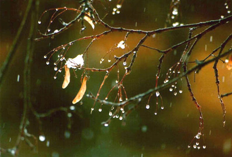 Вот и прошла ЗИМА, готовимся к весне)))МНОГО ВСЕГО! — Hyundai Getz, 1,3 ...