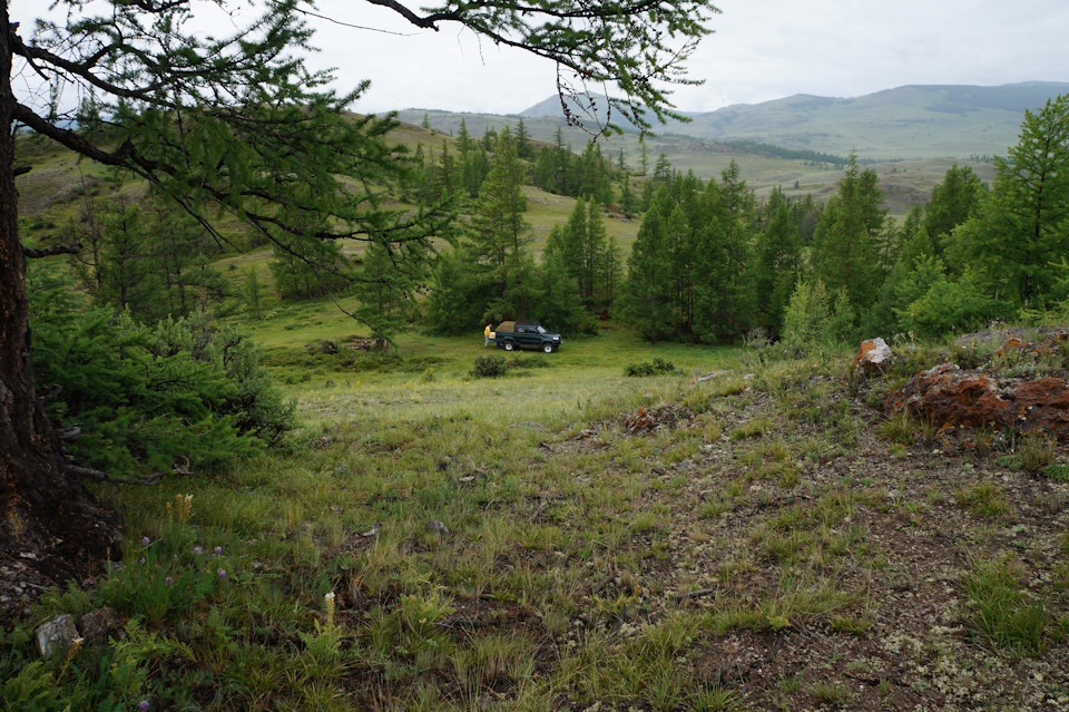 Фото в бортжурнале УАЗ Pickup