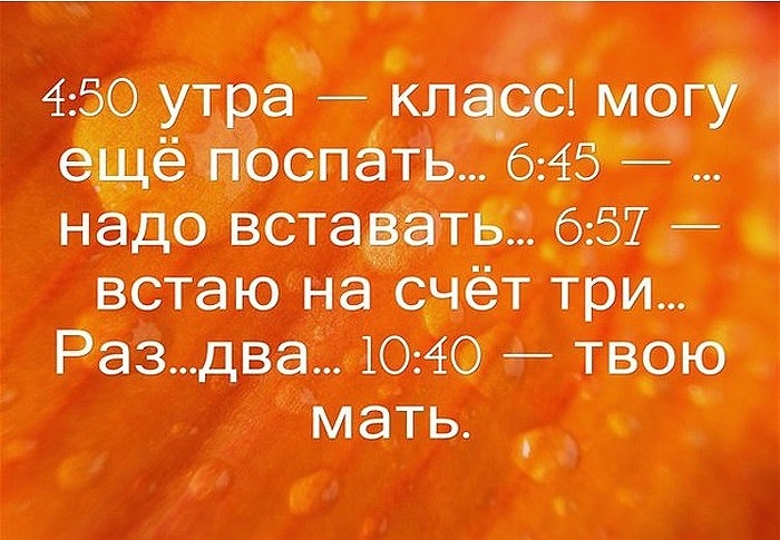 Доброе утро анекдоты смешные картинки