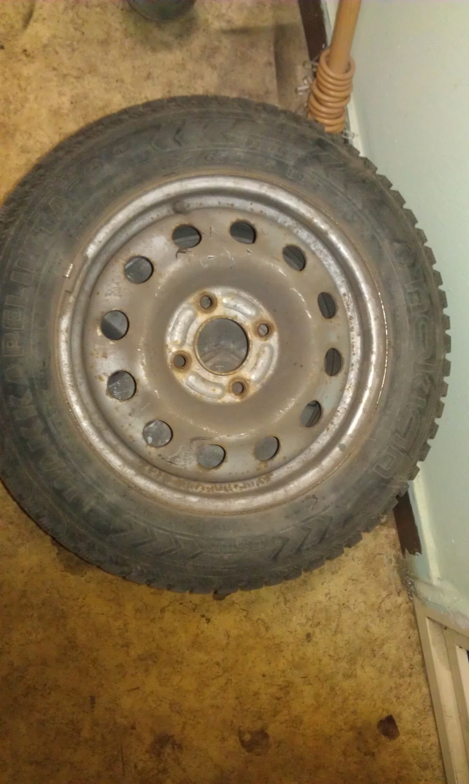 Фото в бортжурнале Nissan Almera II (N16)