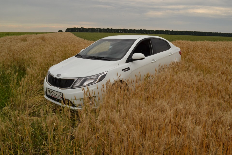 Удаление клапана задержки сцепления — KIA Rio (3G), 1,6 л, 2013 года ...