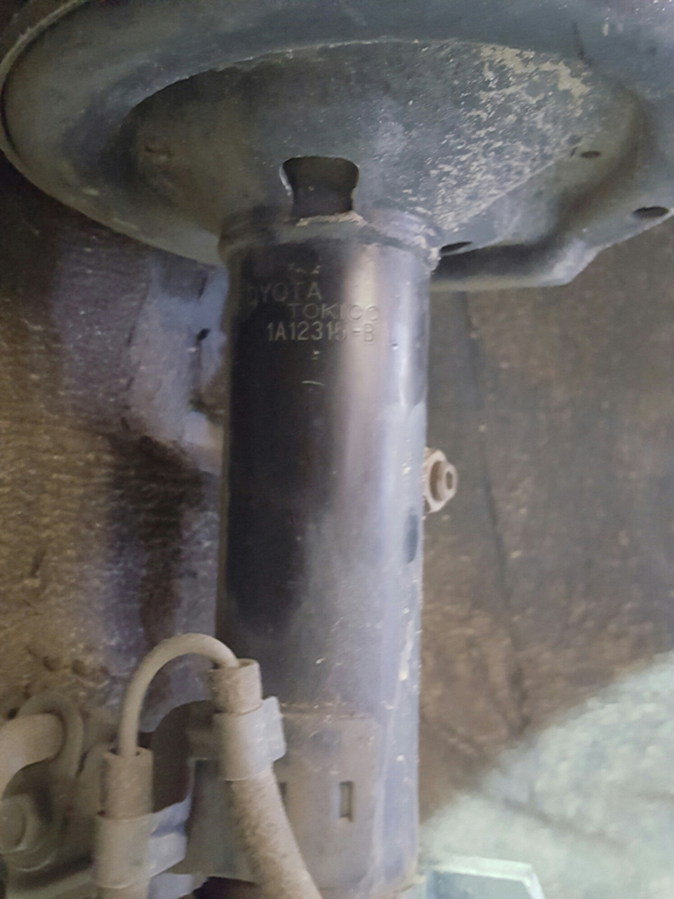 стойки tokico или kayaba? — DRIVE2