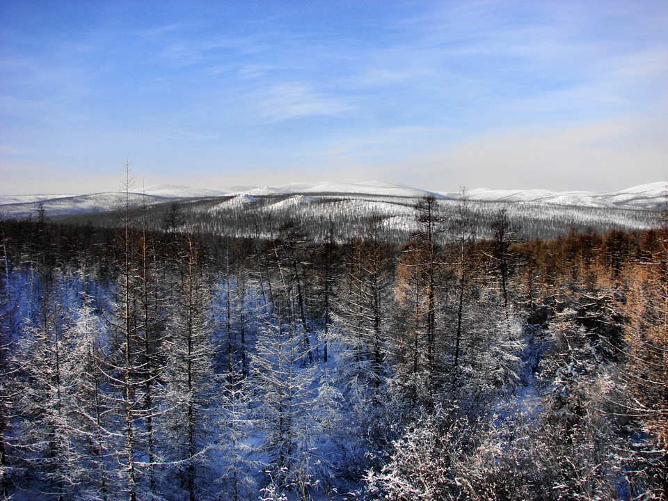 Природные зоны якутии. Мерзлота в Якутии.