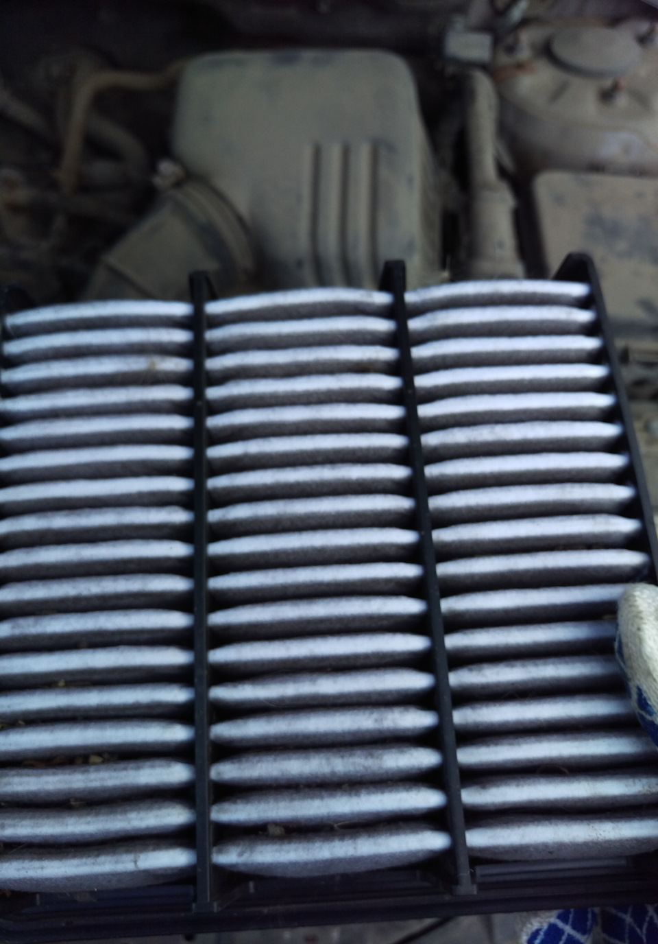 в какую сторону откручивать масляный фильтр на киа сид. Смотреть фото в какую сторону откручивать масляный фильтр на киа сид. Смотреть картинку в какую сторону откручивать масляный фильтр на киа сид. Картинка про в какую сторону откручивать масляный фильтр на киа сид. Фото в какую сторону откручивать масляный фильтр на киа сид в какую сторону откручивать масляный фильтр на киа сид. Смотреть фото в какую сторону откручивать масляный фильтр на киа сид. Смотреть картинку в какую сторону откручивать масляный фильтр на киа сид. Картинка про в какую сторону откручивать масляный фильтр на киа сид. Фото в какую сторону откручивать масляный фильтр на киа сид