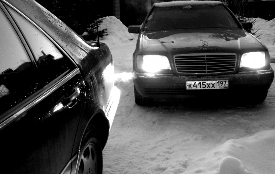 Черно белий фотосет кабанчиков. — Mercedes-Benz S-Class (W140), 3,2 л ...