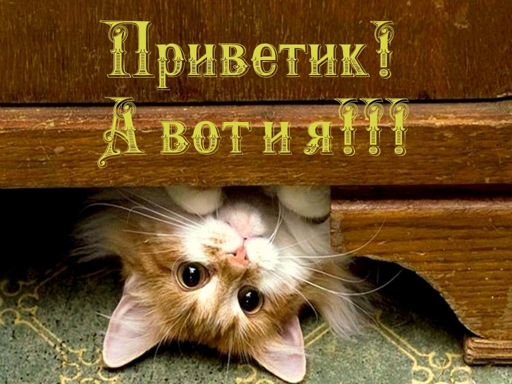Открытка вот я и дома, картинки