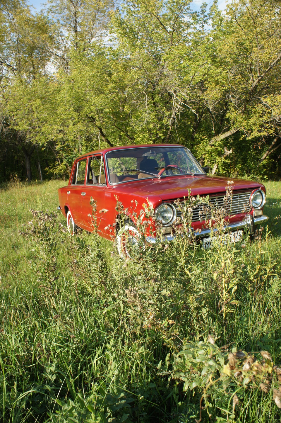 Берегите лес земляки — грибняки! — Lada 2101, 1,2 л, 1973 года | фотография  | DRIVE2