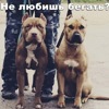 Можно ли использовать акустические провода для электричества в автомобиле. Смотреть фото Можно ли использовать акустические провода для электричества в автомобиле. Смотреть картинку Можно ли использовать акустические провода для электричества в автомобиле. Картинка про Можно ли использовать акустические провода для электричества в автомобиле. Фото Можно ли использовать акустические провода для электричества в автомобиле