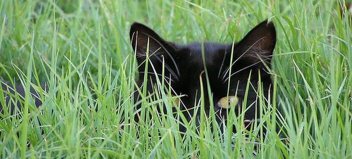 Фото в бортжурнале Saab 9-5 (1G)