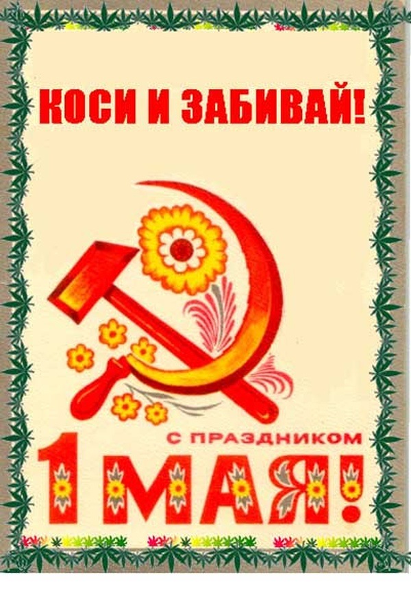 Картинки прикол 1 мая