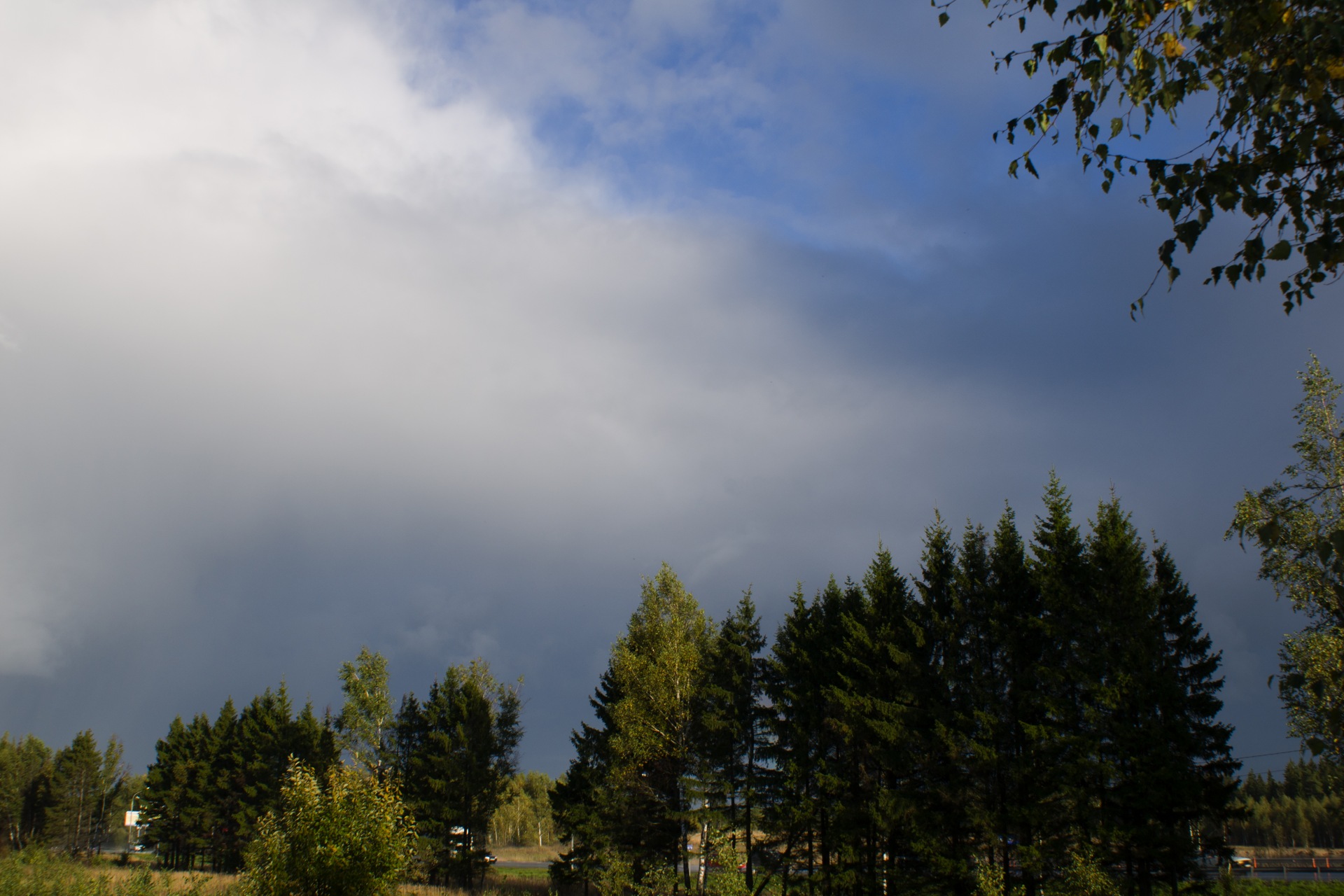 Фото в бортжурнале Volvo V50