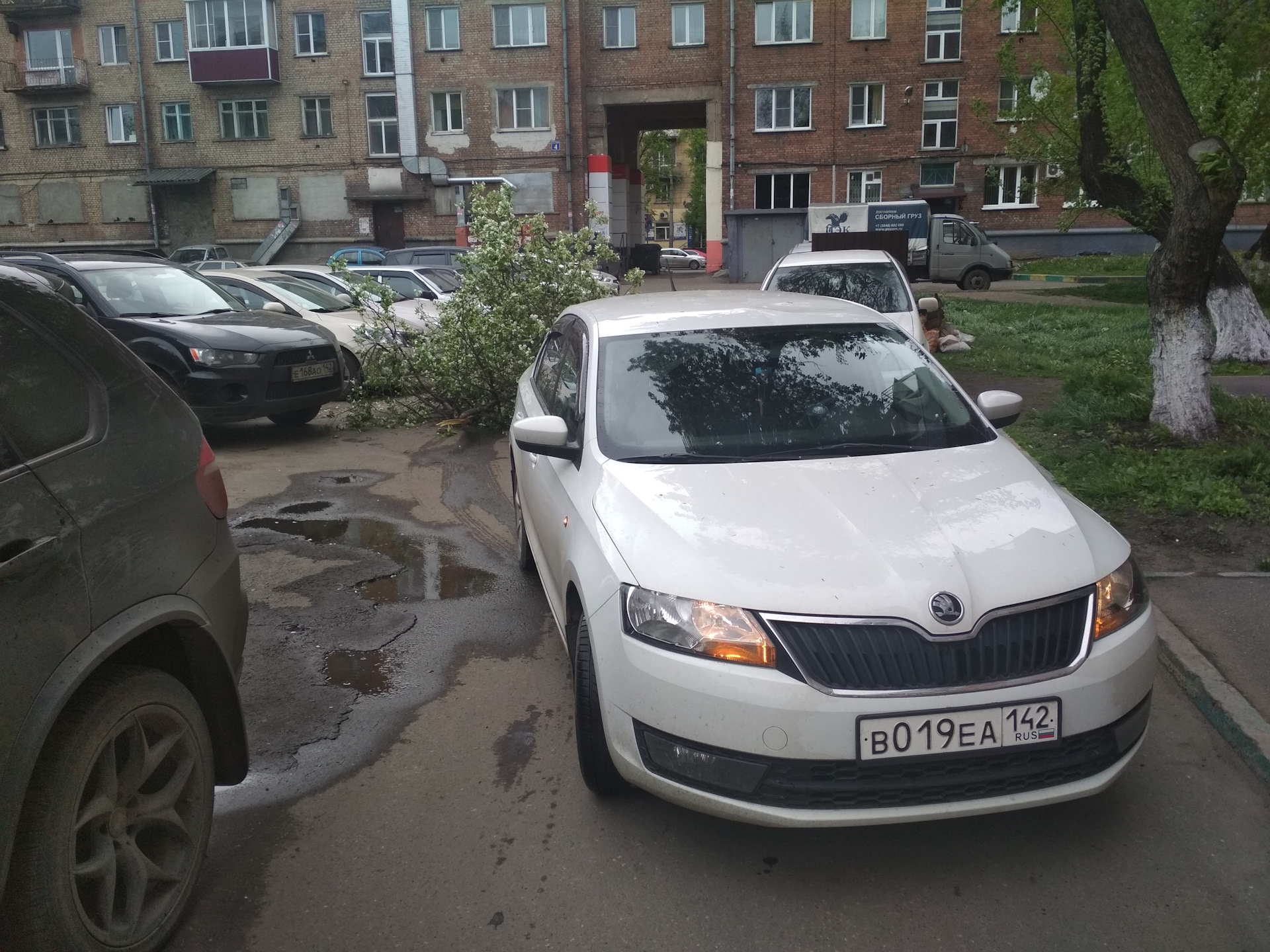 39. Упала ветка — Skoda Rapid (1G), 1,6 л, 2014 года | ДТП | DRIVE2