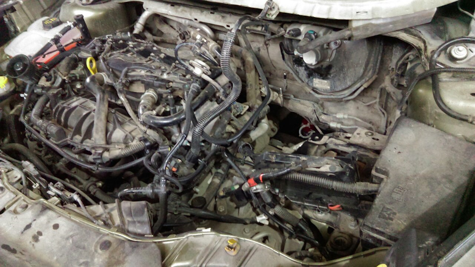 Фото в бортжурнале Ford Kuga (2G)