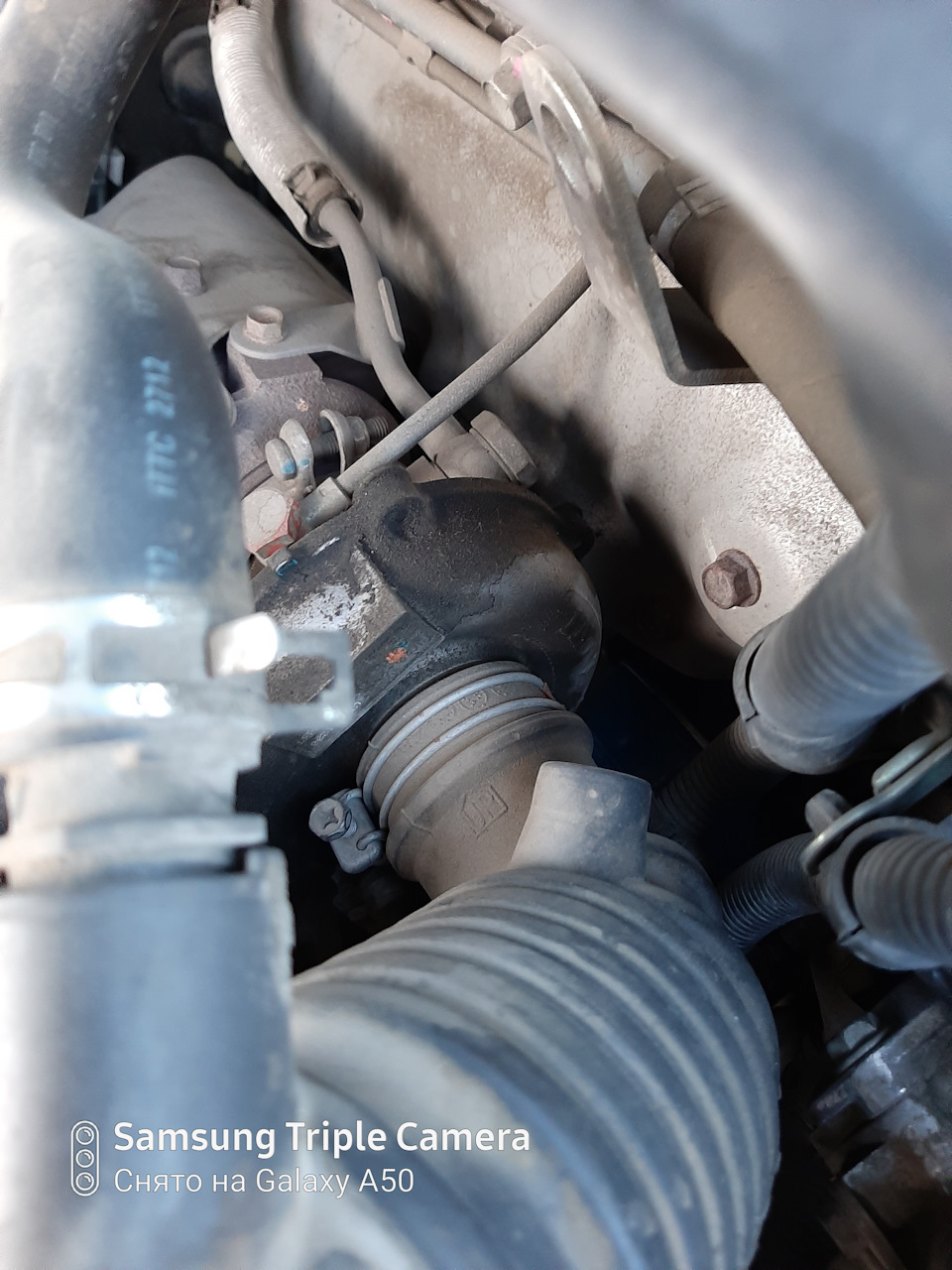 Решетка ляMugen на своем месте — Honda Fit (3G), 1,5 л, 2015 года ...