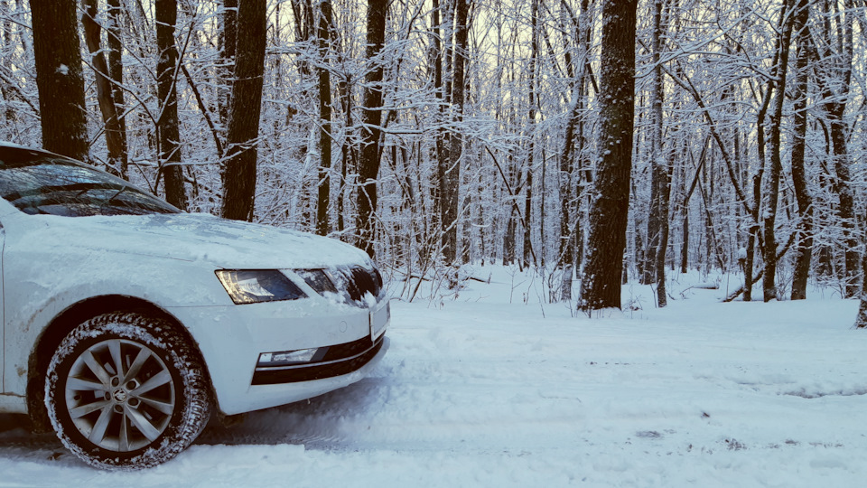 📸$16 Фотосессия. Клиренс позволяет! — Skoda Octavia A7 Mk3, 1,4 л, 2017 ...