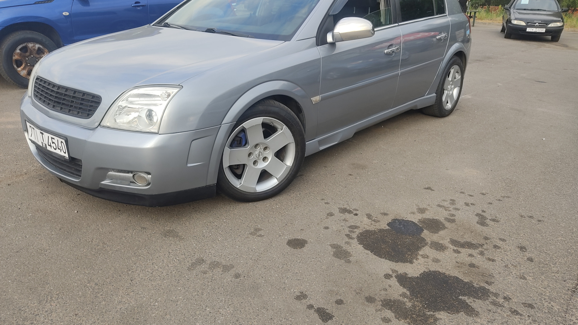 Opel Signum с 2006–2008 г.в белый фон. Grc3366sig Signum Grey 33x66.