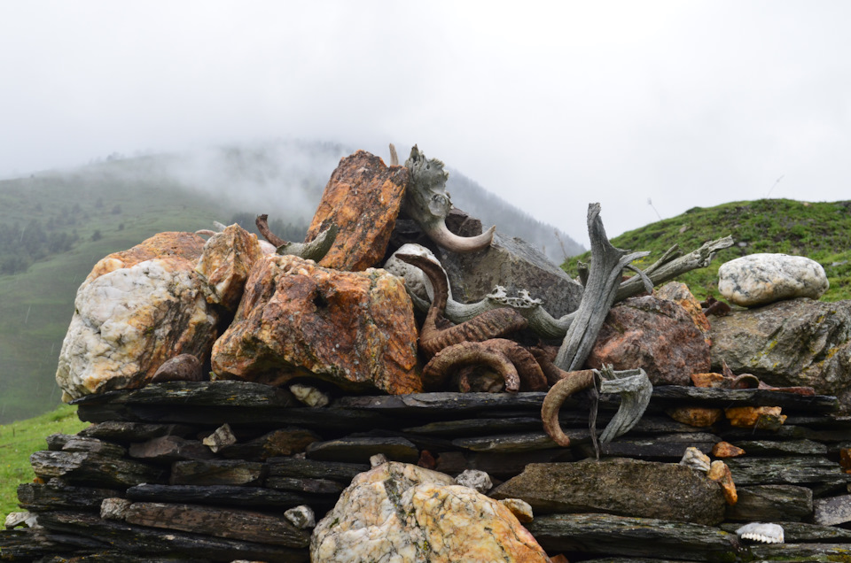 Фото в бортжурнале УАЗ Patriot